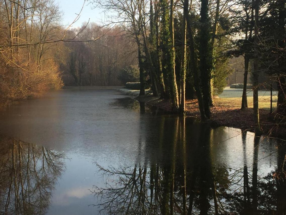 Chateau De Vitry-La-Ville Екстер'єр фото